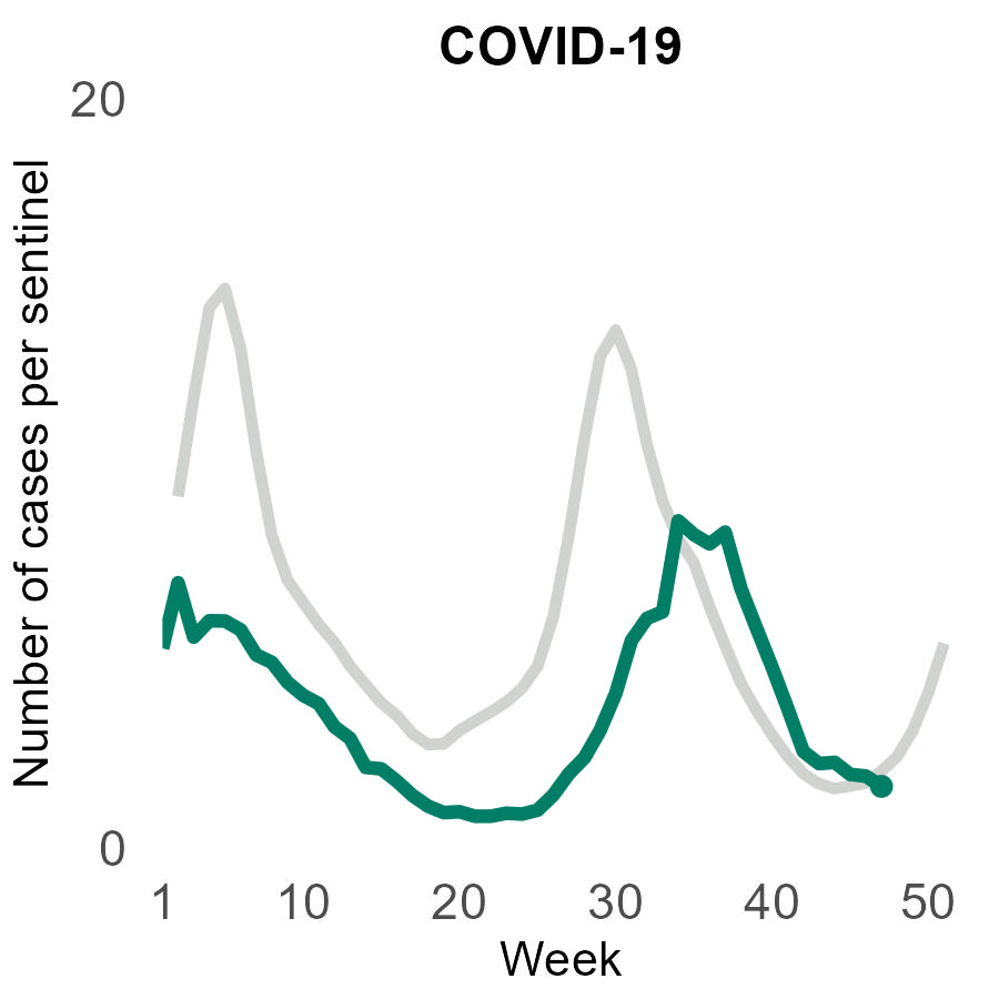 新型コロナウイルス
