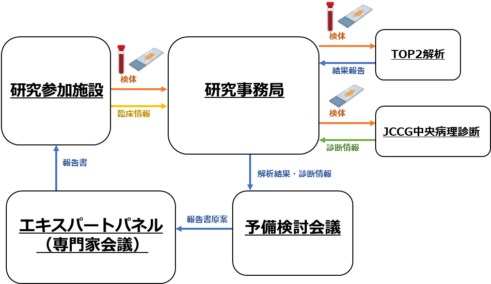 【図1：JCCG-TOP2研究の概要】